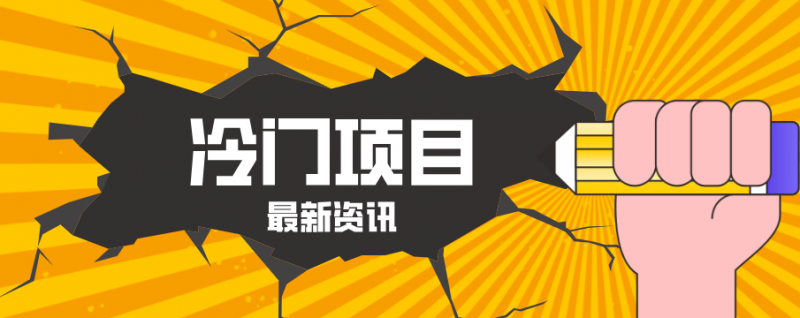 普通人容易忽略的冷门项目，仅靠一部手机，1小时复制粘贴零撸50+-玻哥网络技术工作室