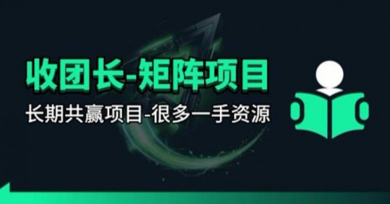 【团长合作】视频矩阵项目_招发手矩阵+剪辑师，共赢项目【揭秘】-玻哥网络技术工作室
