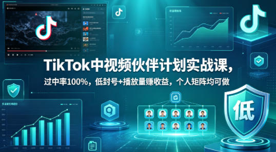 TikTok中视频伙伴计划实战课，过中率100%，低封号+播放量賺收益，个人矩阵均可做-玻哥网络技术工作室
