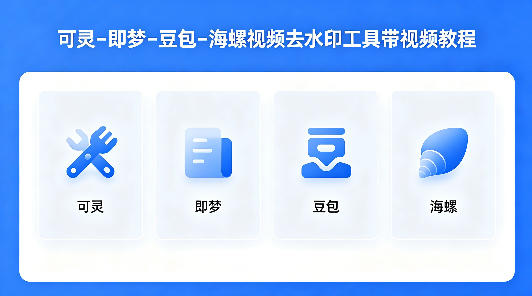可灵–即梦–豆包–海螺视频去水印工具带视频教程-玻哥网络技术工作室