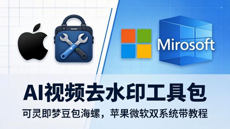 AI视频去水印工具包：可灵即梦豆包海螺，苹果微软双系统带教程-玻哥网络技术工作室