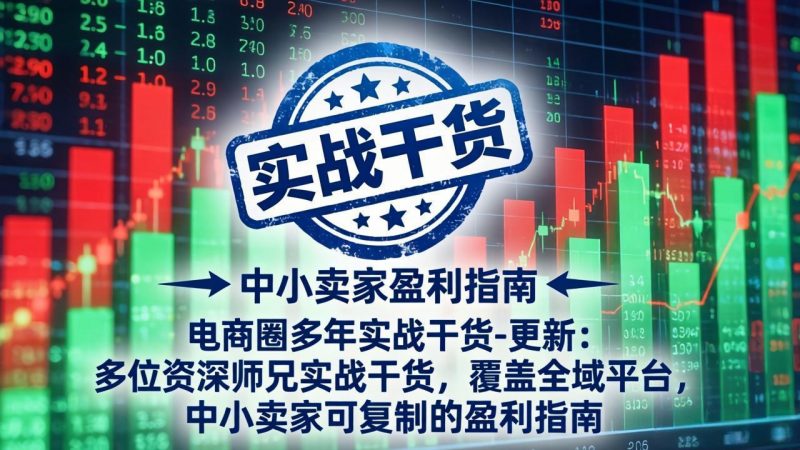 电商圈多年实战干货-更新4月27：多位资深师兄实战干货/覆盖全域平台，中小卖家可复制的盈利指南-玻哥网络技术工作室