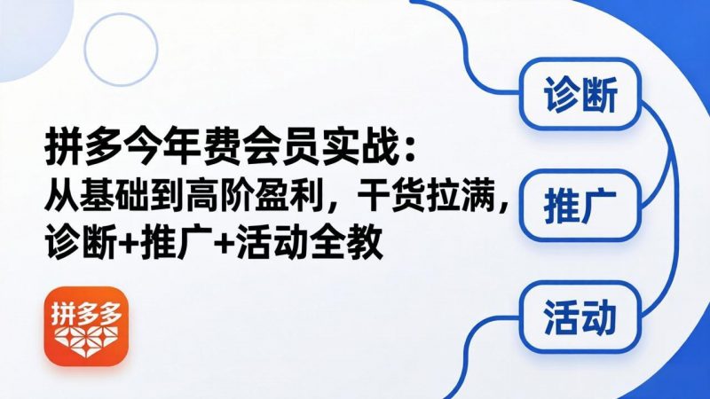 拼多多年费会员实战(更新26年4月30-玻哥网络技术工作室