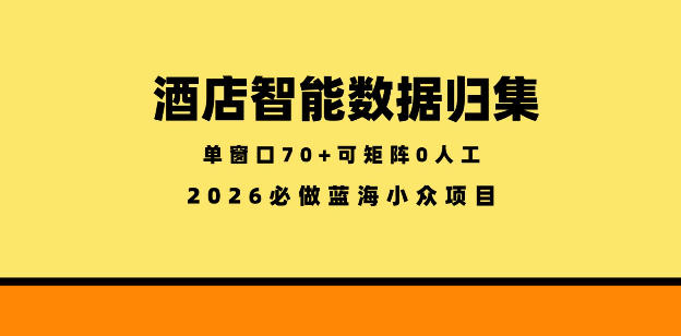 酒店智能数据归集，小众蓝海已经稳定半年之久，单窗口70+零成本矩阵开干【揭秘】-玻哥网络技术工作室