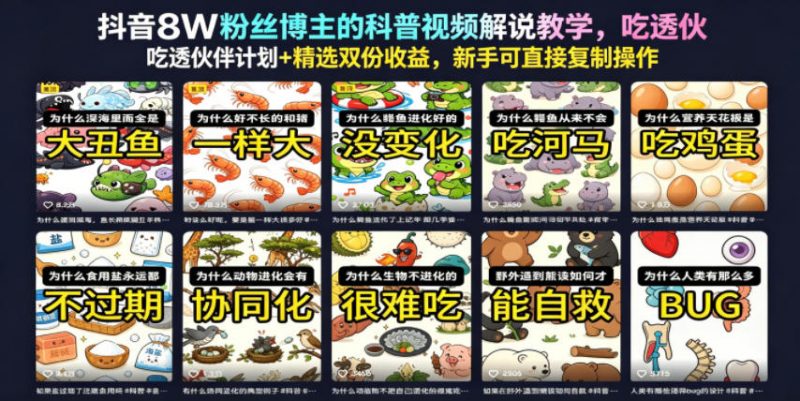 抖音8W粉丝博主的科普视频解说教学，吃透伙伴计划+精选双份收益，新手可直接复制操作-玻哥网络技术工作室