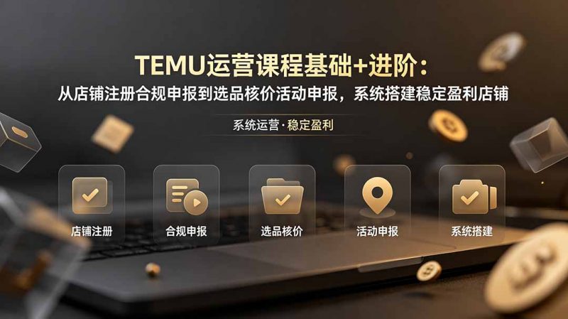 TEMU运营课程(基础+进阶-玻哥网络技术工作室