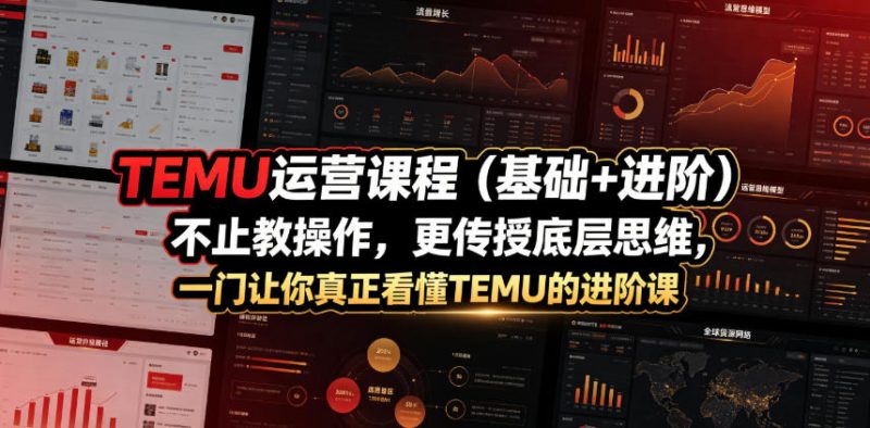 TEMU运营课程(基础+进阶)，不止教操作，更传授底层思维，一门让你真正看懂TEMU的进阶课-玻哥网络技术工作室