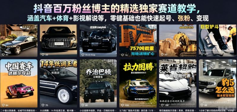 抖音百万粉丝博主的精选独家赛道教学，涵盖汽车+体育+影视解说等，零基础也能快速起号、涨粉、变现(更新0701)-玻哥网络技术工作室