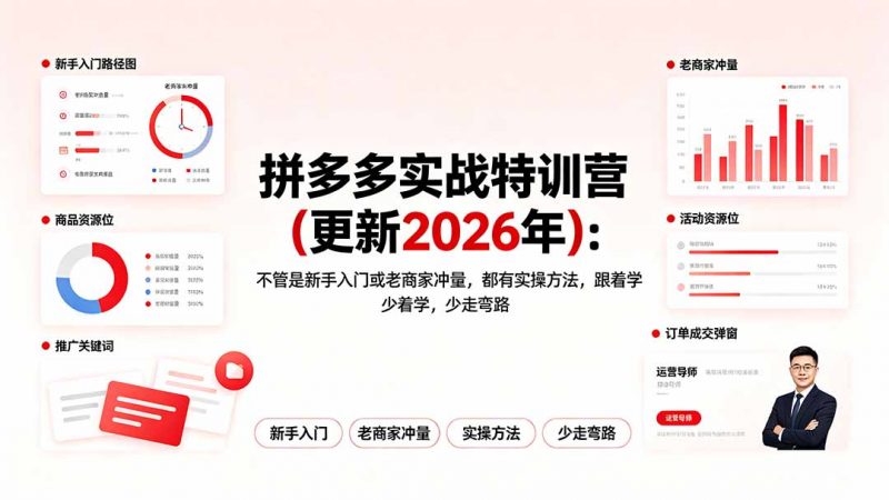 拼多多实战特训营(更新2026年-玻哥网络技术工作室