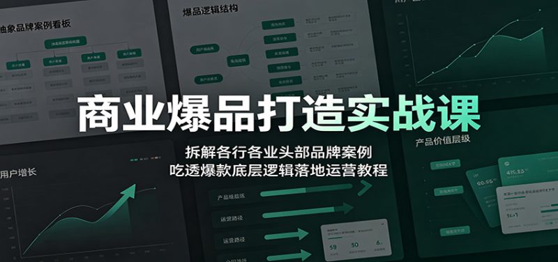 商业爆品打造实战课：拆解各行各业头部品牌案例，吃透爆款底层逻辑落地运营教程-玻哥网络技术工作室