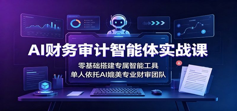 AI财务审计智能体实战课：零基础搭建专属智能工具，单人依托AI媲美专业财审团队-玻哥网络技术工作室