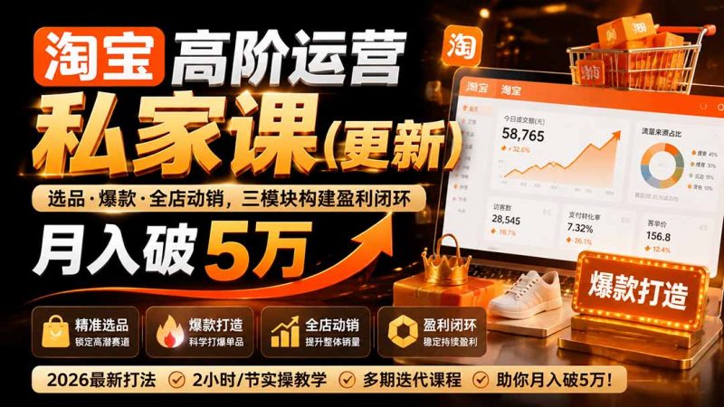 淘宝高阶运营私家课(更新26年-玻哥网络技术工作室