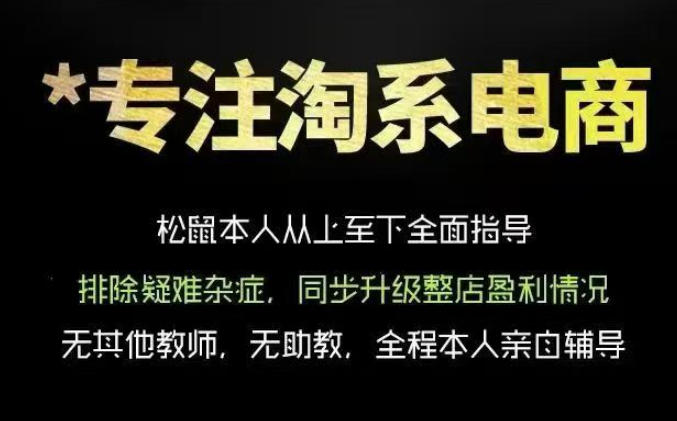 松鼠会电商VIP课程，从基础布局到高阶优化，助你掌握淘宝运营逻辑，提升店铺流量与转化(更新0809)-玻哥网络技术工作室