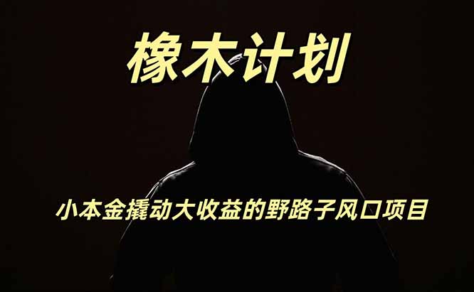 橡木计划，小投入撬动高回报的风口野路子项目，一天投入2小时左右-玻哥网络技术工作室