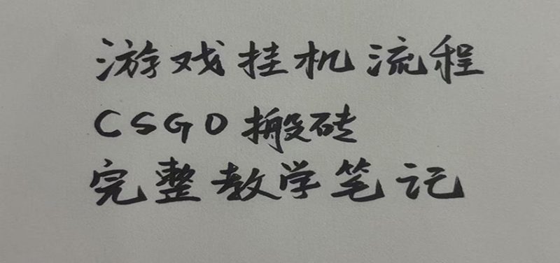 游戏挂机全流程笔记分享,CSGO游戏搬砖,小白看了当天学会见收益-玻哥网络技术工作室