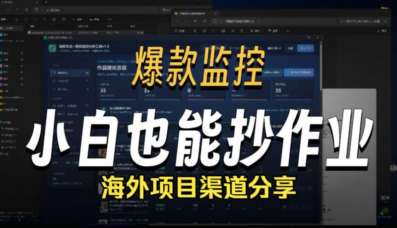 抖音爆款数据监控工具_海外网盘拉新渠道-玻哥网络技术工作室