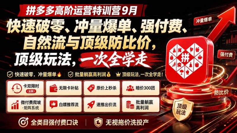 拼多多高阶运营特训营9月：快速破零、冲量爆单、强付费、自然流与顶级防比价， 顶级玩法，一次全学走-玻哥网络技术工作室