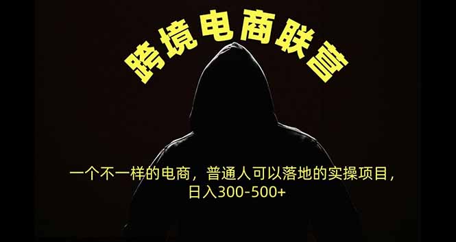 跨境电商联营，一个不一样的电商，普通人可操作日入300-500+-玻哥网络技术工作室